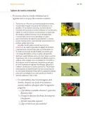 Miniatura página 134 de Proyectos Comunitarios.   Libro de Educación Primaria Grado 5°  Ciclo Escolar 2025 - 2026