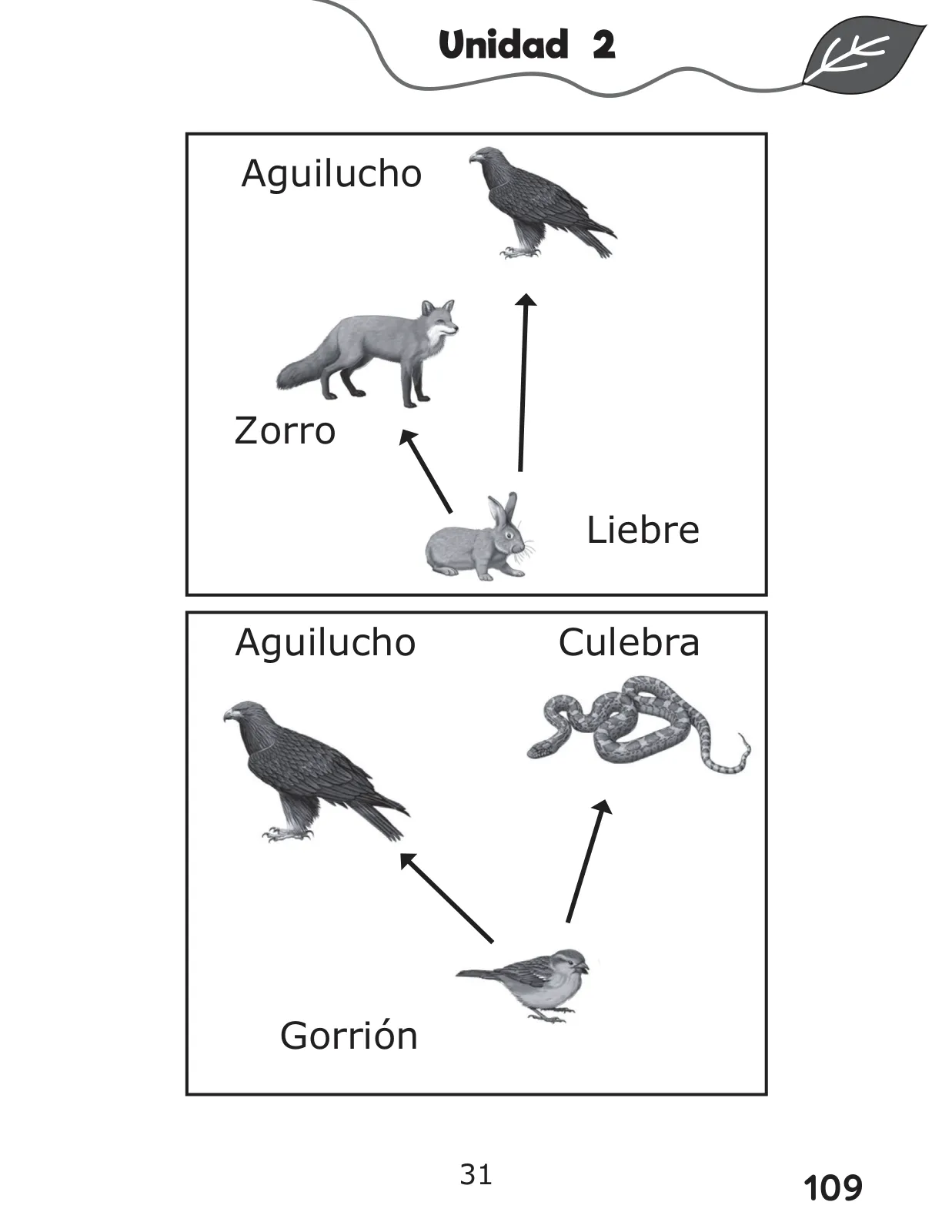 Página 109 de Libro de Ciencias Naturales – Quinto Básico | Texto del Estudiante MINEDUC – Descargar PDF · 2024