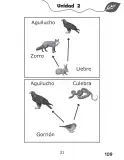 Miniatura página 109 de Libro de Ciencias Naturales – Quinto Básico | Texto del Estudiante MINEDUC – Descargar PDF · 2024