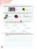 Miniatura página 78 de Lenguaje y Comunicación – Primero Básico | Texto del Estudiante MINEDUC – Descargar PDF · 2024