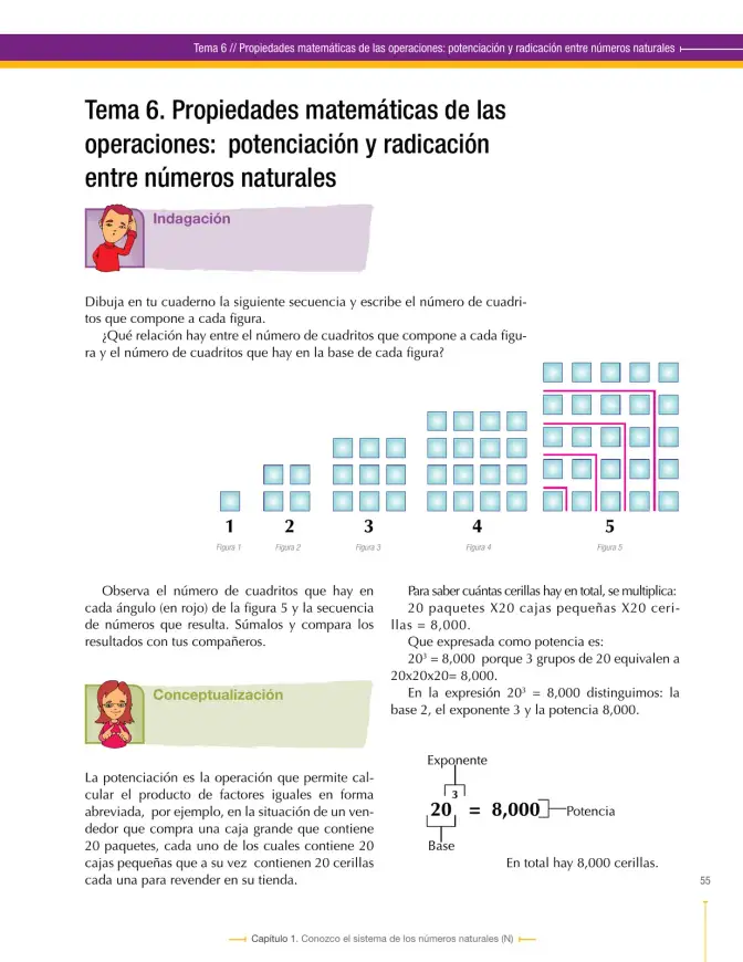 Página 55 de Matematica 6° · Secundaria Activa