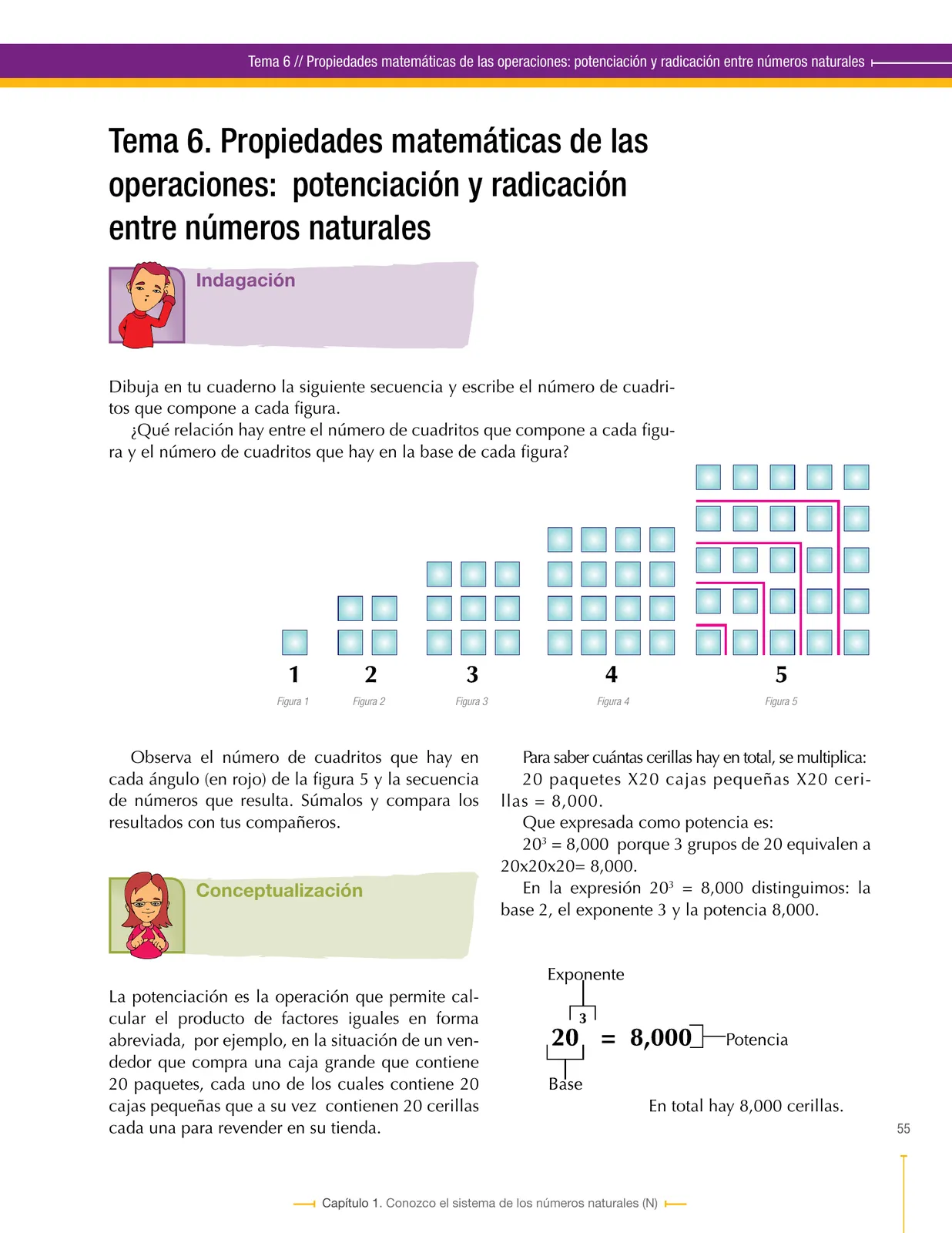 Página 55