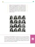 Miniatura página 182 de Colección Ximhai. De lo humano y lo comunitario.   Libro de Educación Telesecundaria Grado 1°  Ciclo Escolar 2025 - 2026