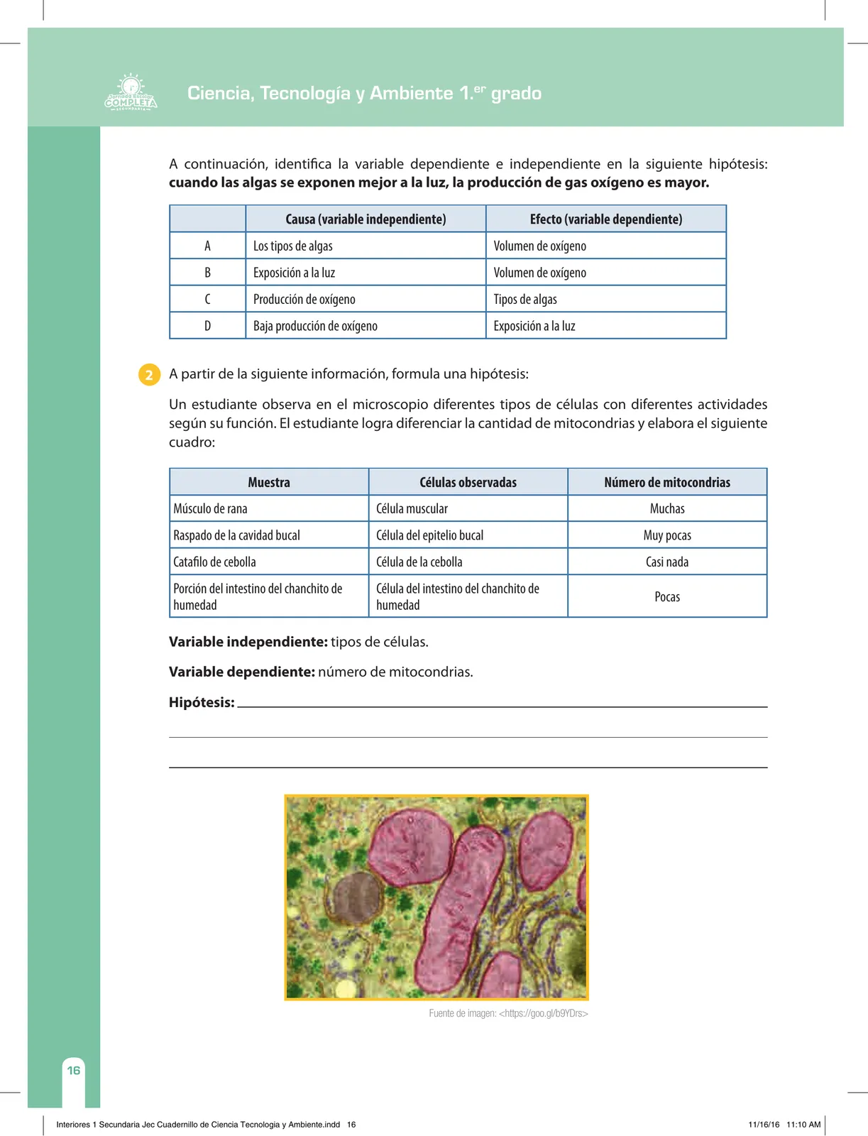 Miniatura página 16 de Ciencia, Tecnología y Ambiente 1. Cuaderno de reforzamiento pedagógico - JEC · 2016