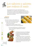 Miniatura página 79 de Proyectos Comunitarios.   Libro de Educación Primaria Grado 5°  Ciclo Escolar 2025 - 2026