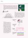 Miniatura página 137 de Nuestros saberes: Libro para alumnos, maestros y familia.   Libro de Educación Primaria Grado 3°  Ciclo Escolar 2025 - 2026
