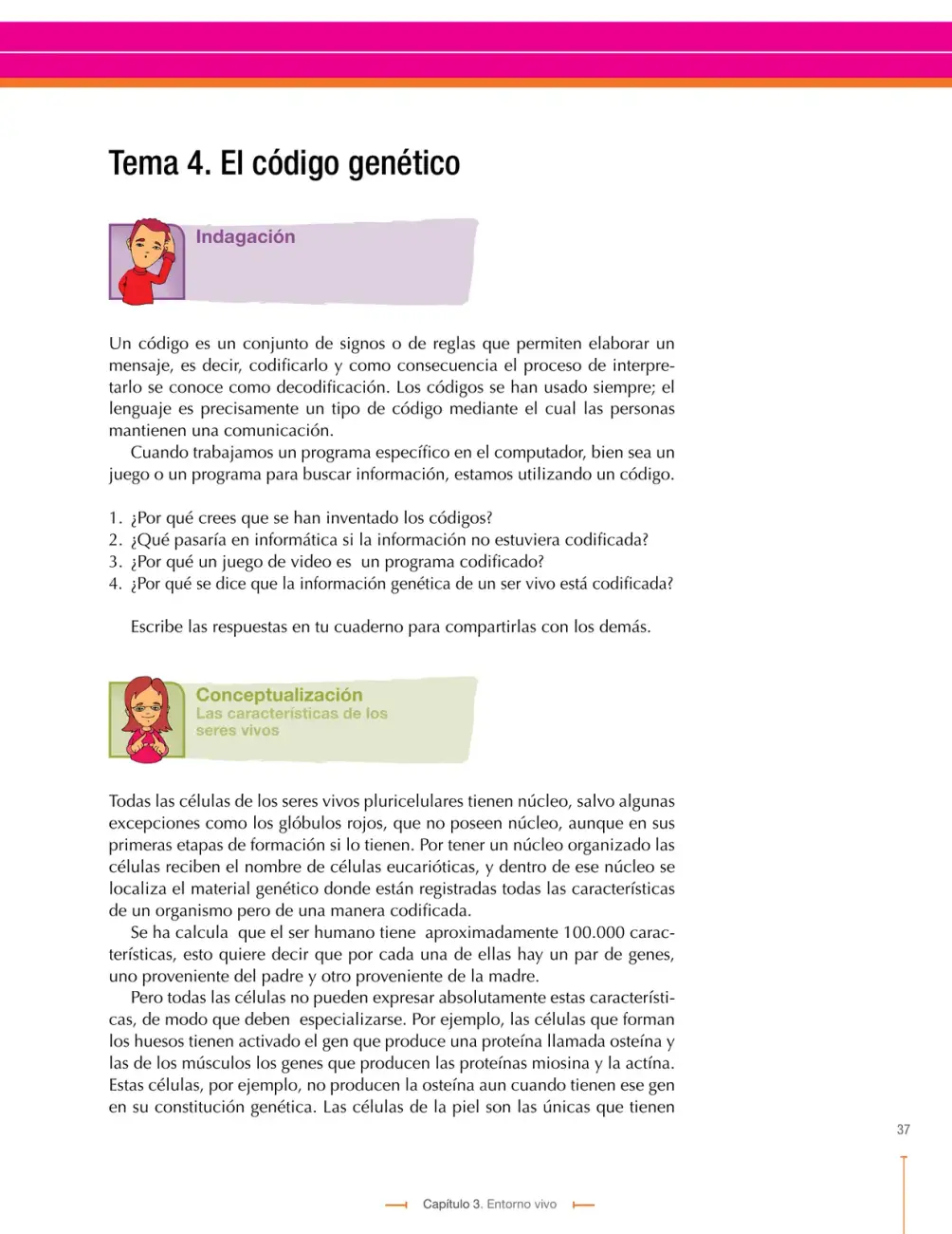 Página 37