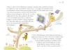 Miniatura página 96 de Múltiples lenguajes.   Libro de Educación Preescolar Grado 3°  Ciclo Escolar 2025 - 2026