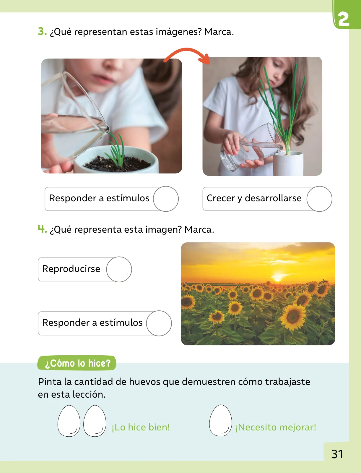 Miniatura página 32 de Ciencias Naturales – Primero Básico | Texto del Estudiante (MINEDUC) – Descargar PDF · 2024