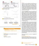 Miniatura página 111 de Sumo Primero – Cuarto Básico | Texto del Estudiante MINEDUC – Descargar PDF · 2024