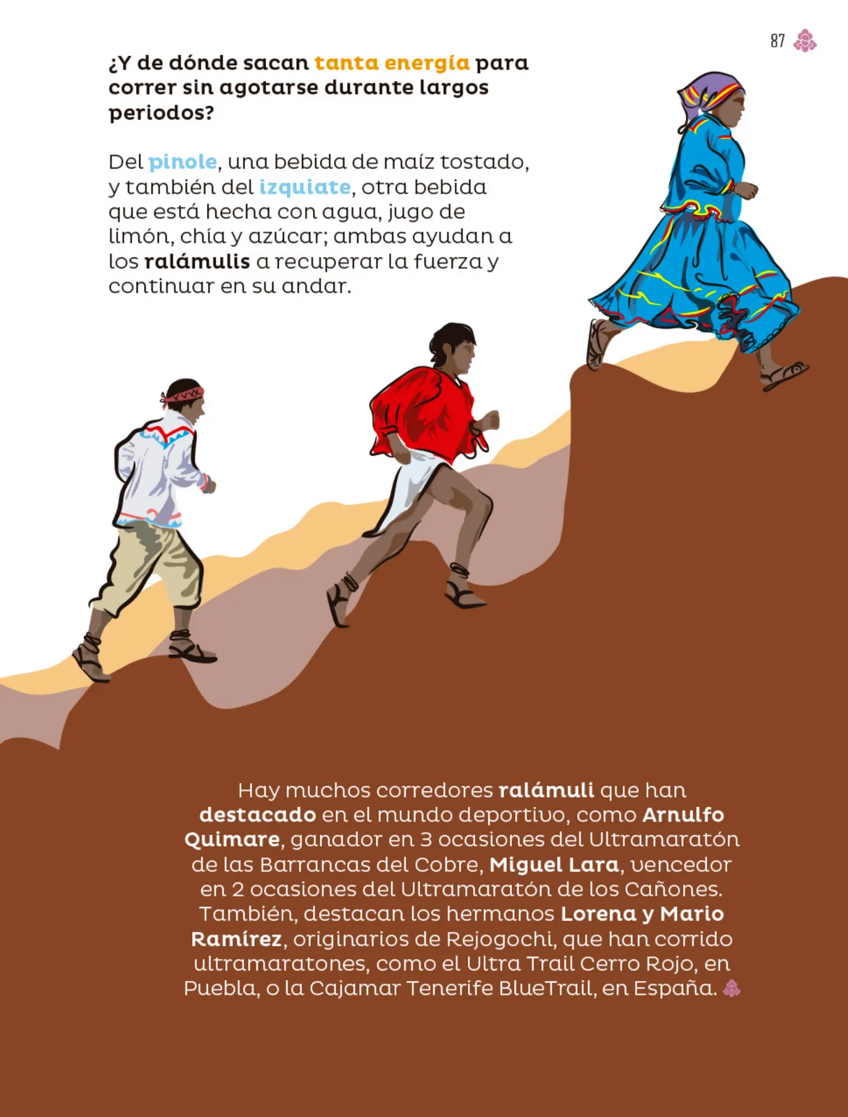 Miniatura página 88 de Múltiples lenguajes.   Libro de Educación Primaria Grado 4°  Ciclo Escolar 2025 - 2026