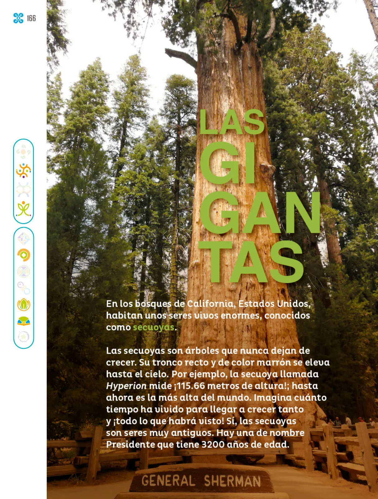 Pág 167
