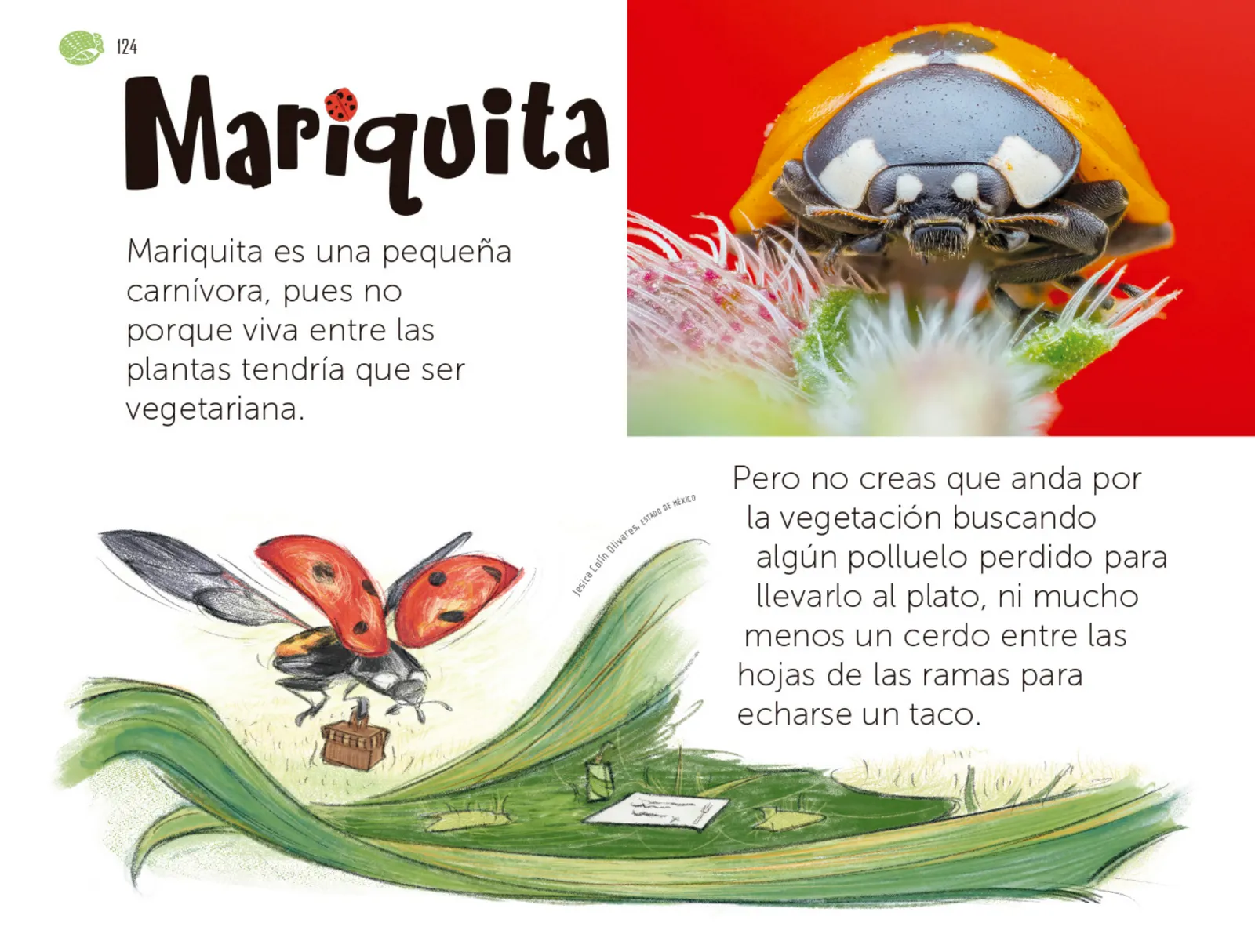 Página 125 de Múltiples lenguajes. Libro de Educación Preescolar Grado 1° Ciclo Escolar 2025 - 2026