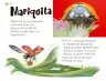 Miniatura página 125 de Múltiples lenguajes.   Libro de Educación Preescolar Grado 1°  Ciclo Escolar 2025 - 2026