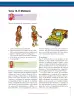 Miniatura página 149 de Ciencias Sociales 7° · Secundaria Activa