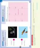 Miniatura página 105 de Ciencias Naturales – Primero Básico | Texto del Estudiante (MINEDUC) – Descargar PDF · 2024