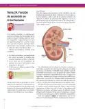 Miniatura página 158 de Ciencias Naturales 7° · Secundaria Activa