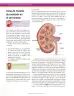 Miniatura página 158 de Ciencias Naturales 7° · Secundaria Activa