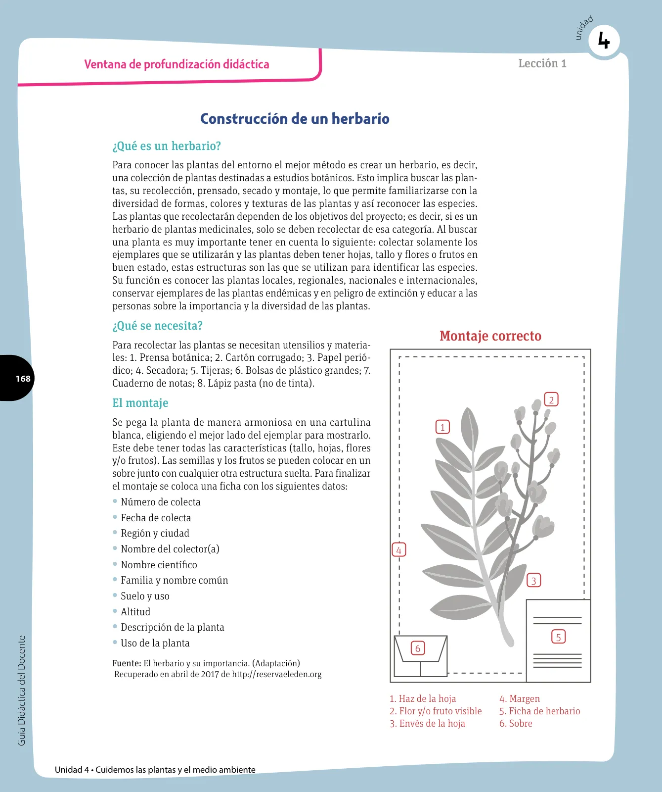 Página 111 de Ciencias Naturales – Tercero Básico | Texto del Estudiante MINEDUC – Descargar PDF · 2024