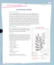 Miniatura página 111 de Ciencias Naturales – Tercero Básico | Texto del Estudiante MINEDUC – Descargar PDF · 2024