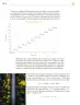 Miniatura página 129 de Colección Sk´asolil. Saberes y pensamiento científico.   Libro de Educación Telesecundaria Grado 2°  Ciclo Escolar 2025 - 2026