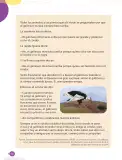 Miniatura página 70 de Cuadernillo de Comunicación 3, tercer grado de Primaria · 2023