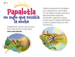 Pág 81