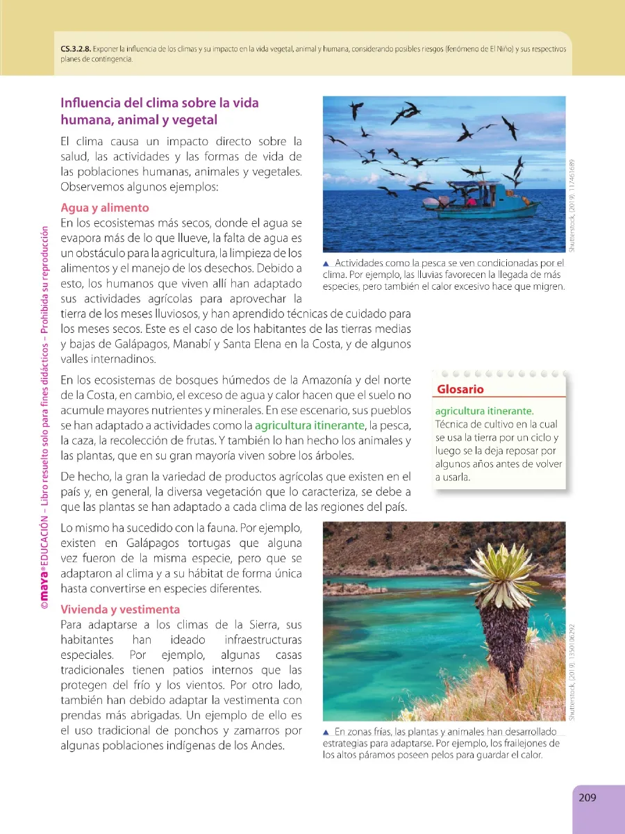 Miniatura página 211 de Estudios Sociales · 6 EGB · 2025