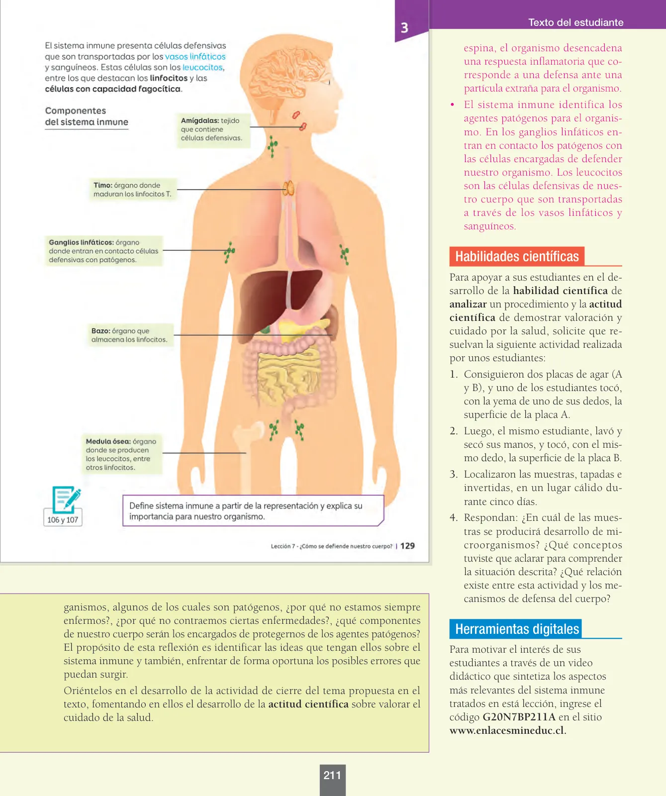 Página 36 de Ciencias Naturales – Séptimo Básico | Texto del Estudiante MINEDUC – Descargar PDF · 2024