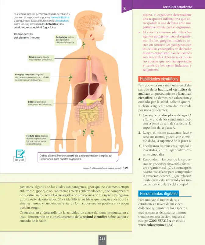 Página 36 de Ciencias Naturales – Séptimo Básico | Texto del Estudiante MINEDUC – Descargar PDF · 2024