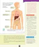 Miniatura página 36 de Ciencias Naturales – Séptimo Básico | Texto del Estudiante MINEDUC – Descargar PDF · 2024