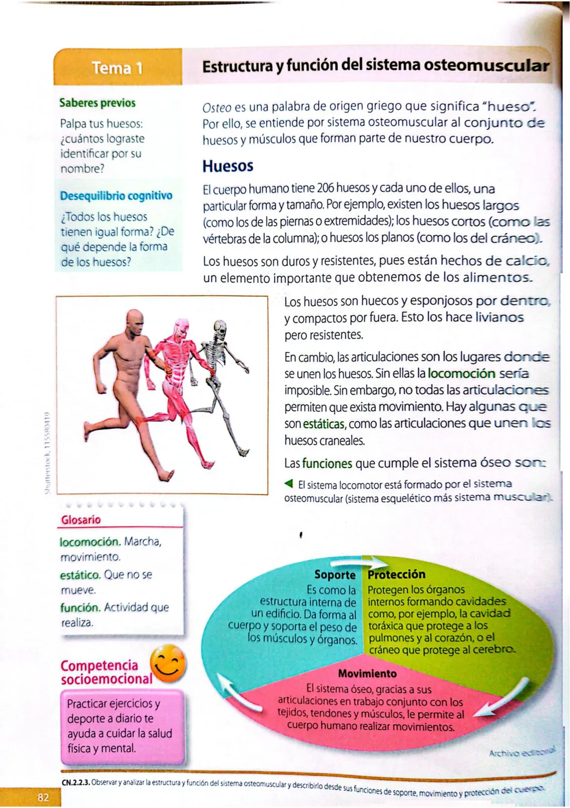 Miniatura página 79 de Ciencias Naturales · 4 EGB · 2025