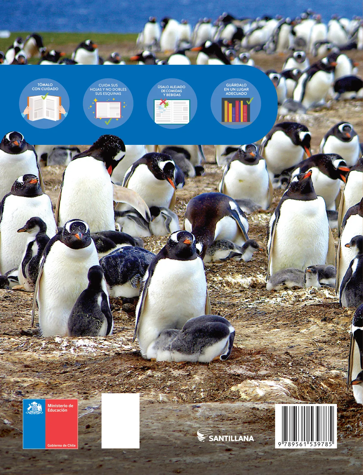 Página 204 de Libro de Ciencias Naturales – Quinto Básico | Texto del Estudiante MINEDUC – Descargar PDF · 2024