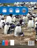 Miniatura página 204 de Libro de Ciencias Naturales – Quinto Básico | Texto del Estudiante MINEDUC – Descargar PDF · 2024