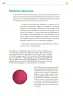 Miniatura página 271 de Colección Sk´asolil. Saberes y pensamiento científico.   Libro de Educación Telesecundaria Grado 2°  Ciclo Escolar 2025 - 2026