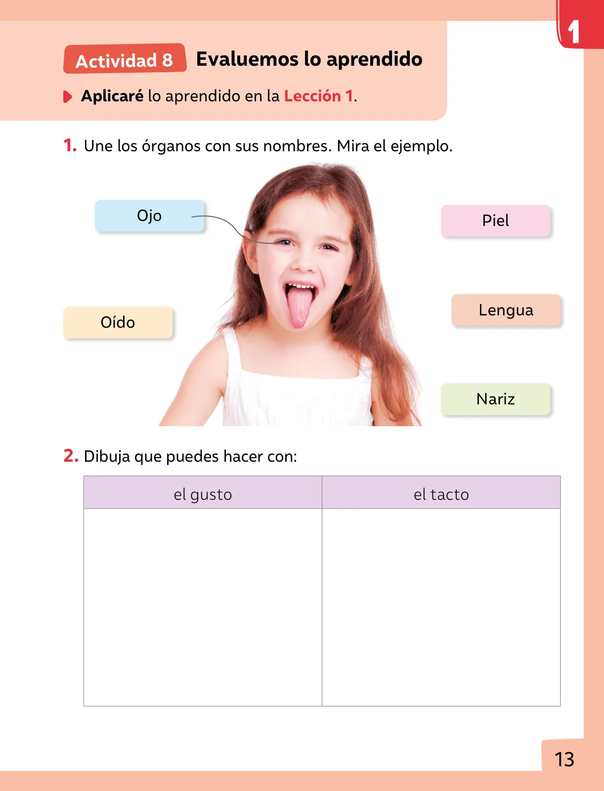 Página 14 de Ciencias Naturales – Primero Básico | Texto del Estudiante (MINEDUC) – Descargar PDF · 2024