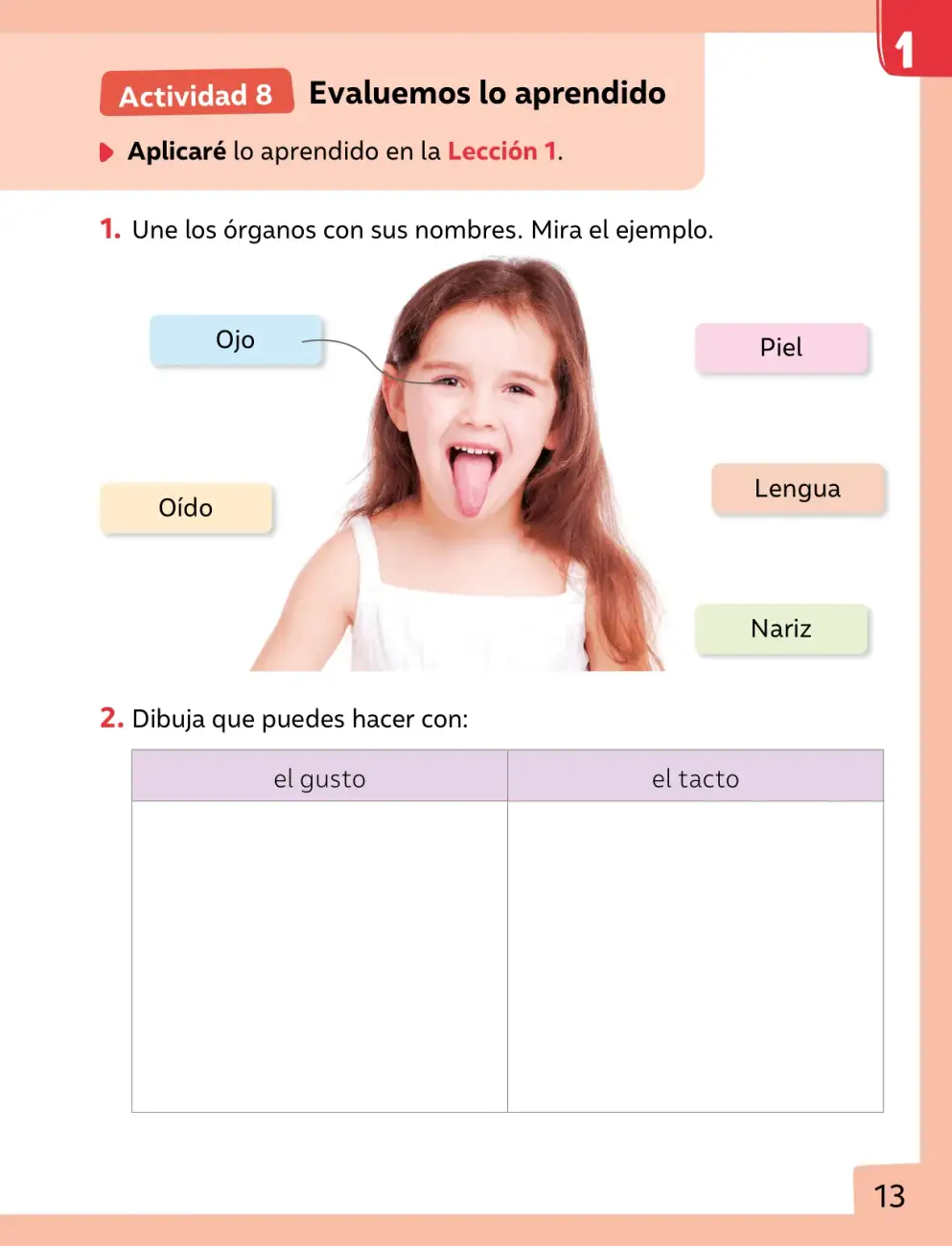 Página 14