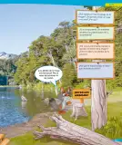 Miniatura página 50 de Ciencias Naturales – Tercero Básico | Texto del Estudiante MINEDUC – Descargar PDF · 2024