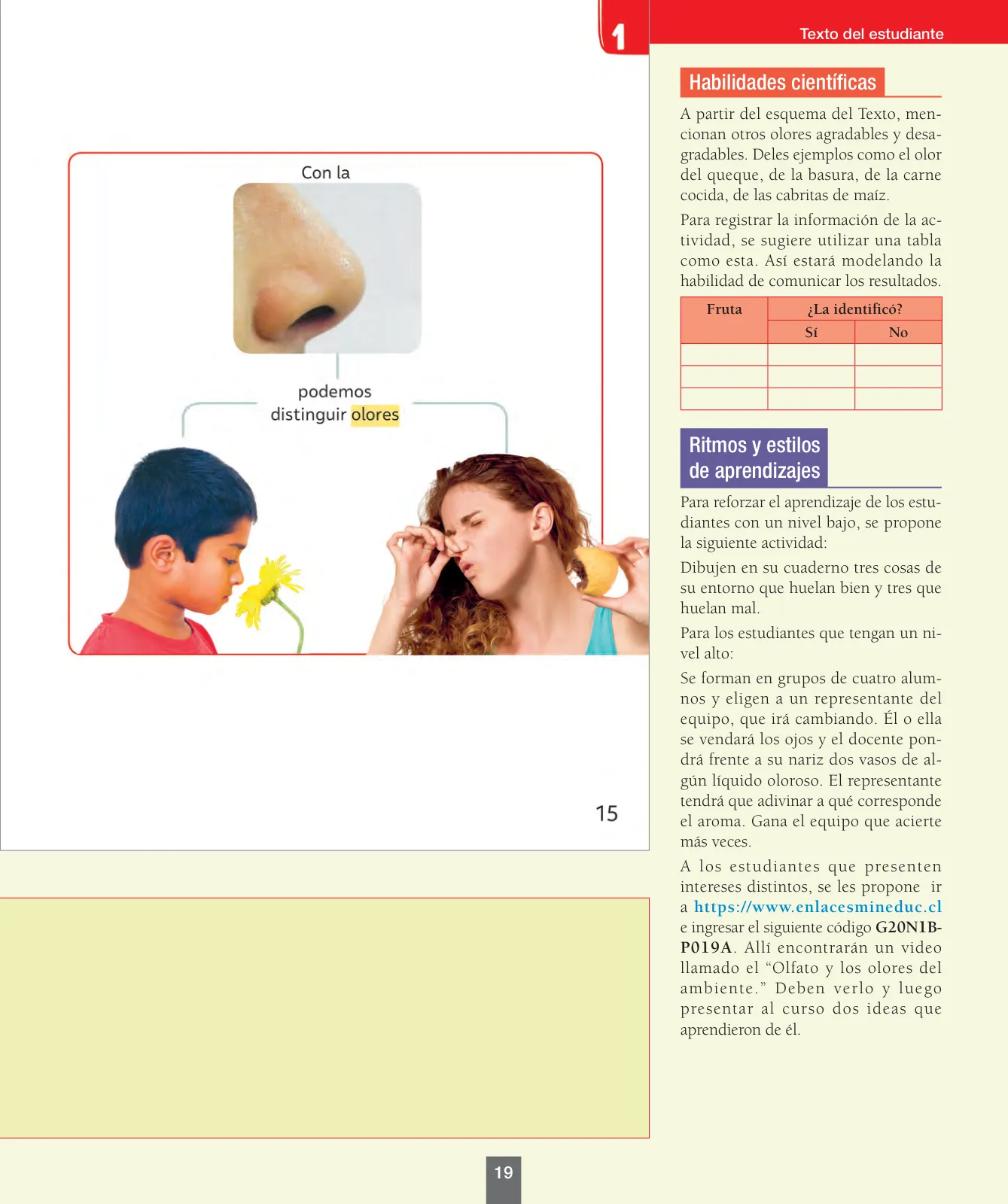 Miniatura página 20 de Ciencias Naturales – Primero Básico | Texto del Estudiante (MINEDUC) – Descargar PDF · 2024