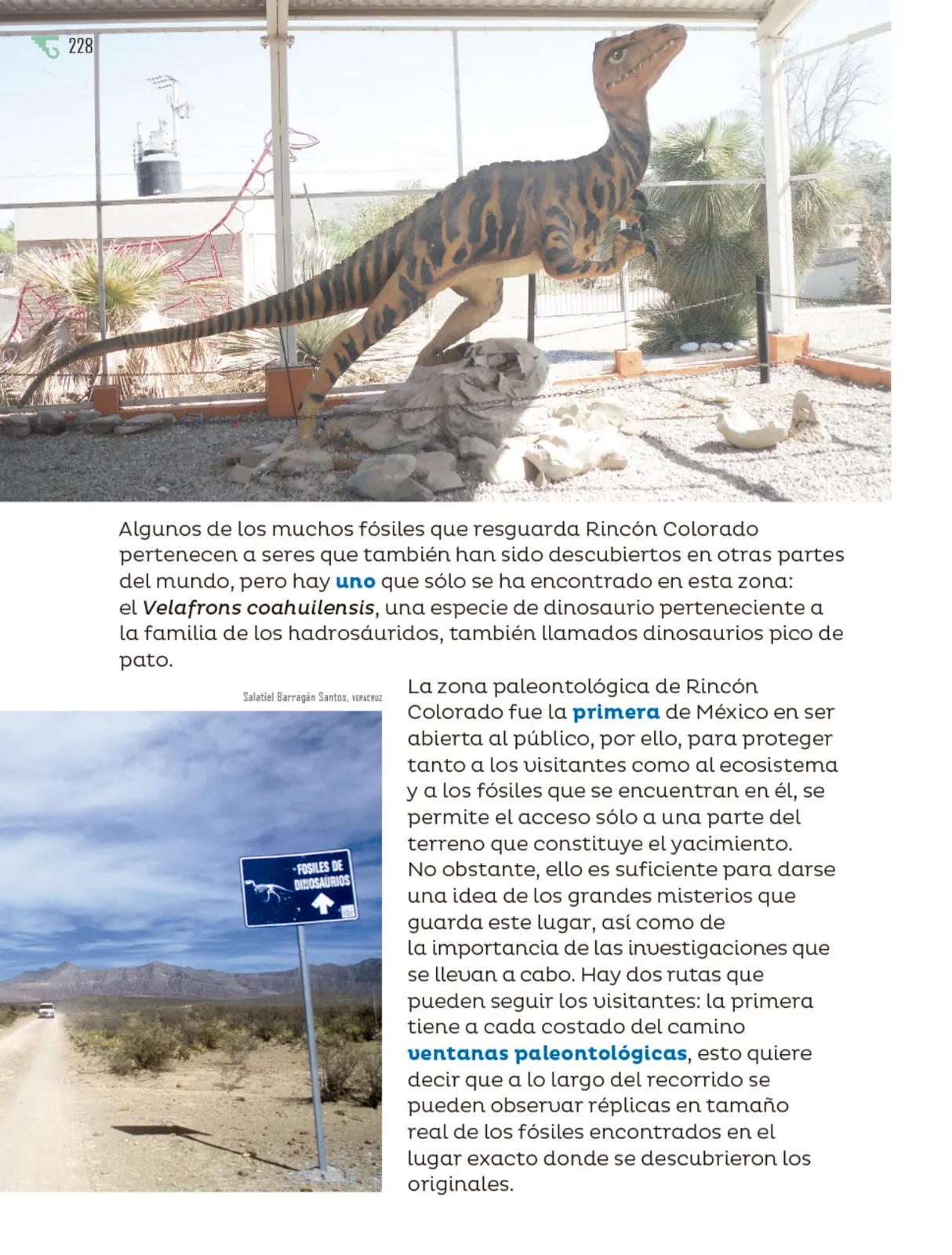 Página 229 de Múltiples lenguajes. Libro de Educación Primaria Grado 6° Ciclo Escolar 2025 - 2026