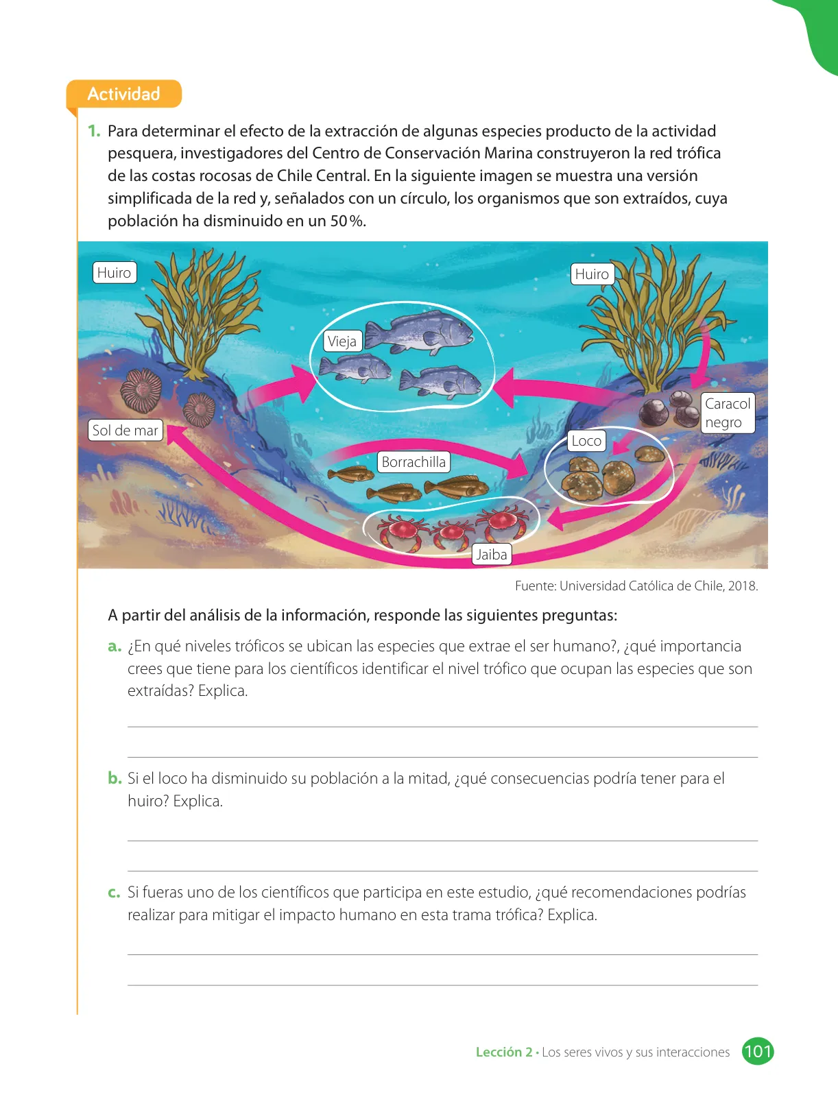 Página 103 de Libro de Ciencias Naturales – Quinto Básico | Texto del Estudiante MINEDUC – Descargar PDF · 2024