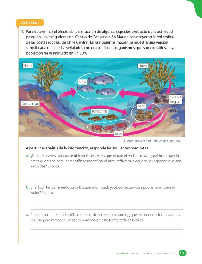 Página 103 de Libro de Ciencias Naturales – Quinto Básico | Texto del Estudiante MINEDUC – Descargar PDF · 2024