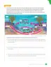Miniatura página 103 de Libro de Ciencias Naturales – Quinto Básico | Texto del Estudiante MINEDUC – Descargar PDF · 2024