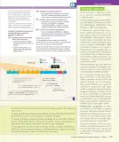 Miniatura página 18 de Historia, Geografía y Ciencias Sociales – Séptimo Básico | Texto del Estudiante MINEDUC – Descargar PDF · 2024