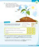 Miniatura página 68 de Ciencias Naturales – Tercero Básico | Texto del Estudiante MINEDUC – Descargar PDF · 2024