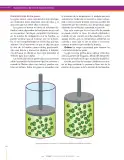 Miniatura página 124 de Ciencias Naturales 9° · Secundaria Activa