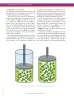 Miniatura página 124 de Ciencias Naturales 9° · Secundaria Activa