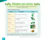Miniatura página 96 de Cuadernillo de Comunicación 1. Primer grado de Primaria · 2024