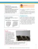 Miniatura página 111 de Matematica 6° · Secundaria Activa