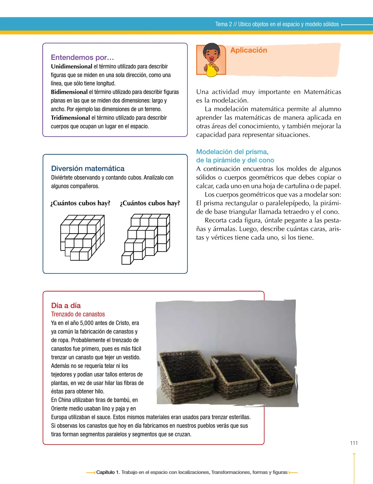 Pág 111